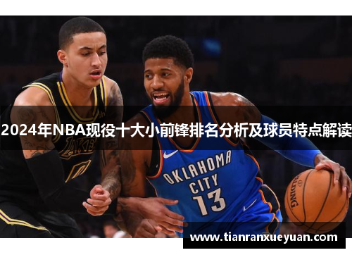 2024年NBA现役十大小前锋排名分析及球员特点解读