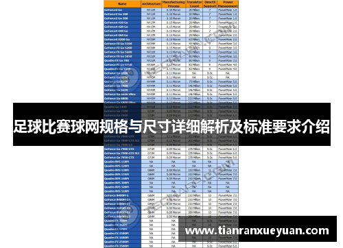 足球比赛球网规格与尺寸详细解析及标准要求介绍